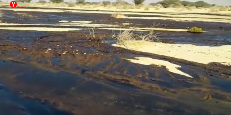 הנזק בעברונה, דצמבר 2014 (צילום עמיר אלוני, רשות הטבע והגנים) הנזק בעברונה, דצמבר 2014 (צילום: עמיר אלוני, רשות הטבע והגנים)